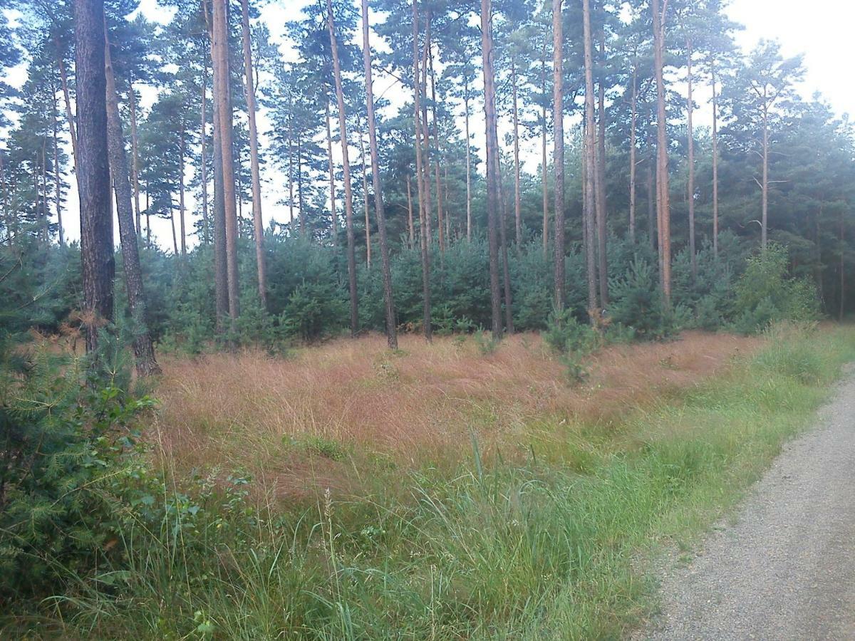Ferienwohnungen 3 Birken Briesen  Екстериор снимка